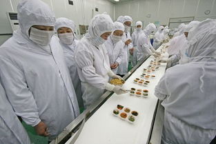 河北食品企业QS许可审查咨询认证与教育咨询服务全解析